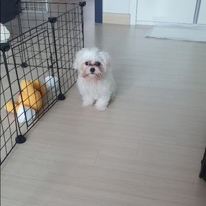 Meet your Posher, Haven